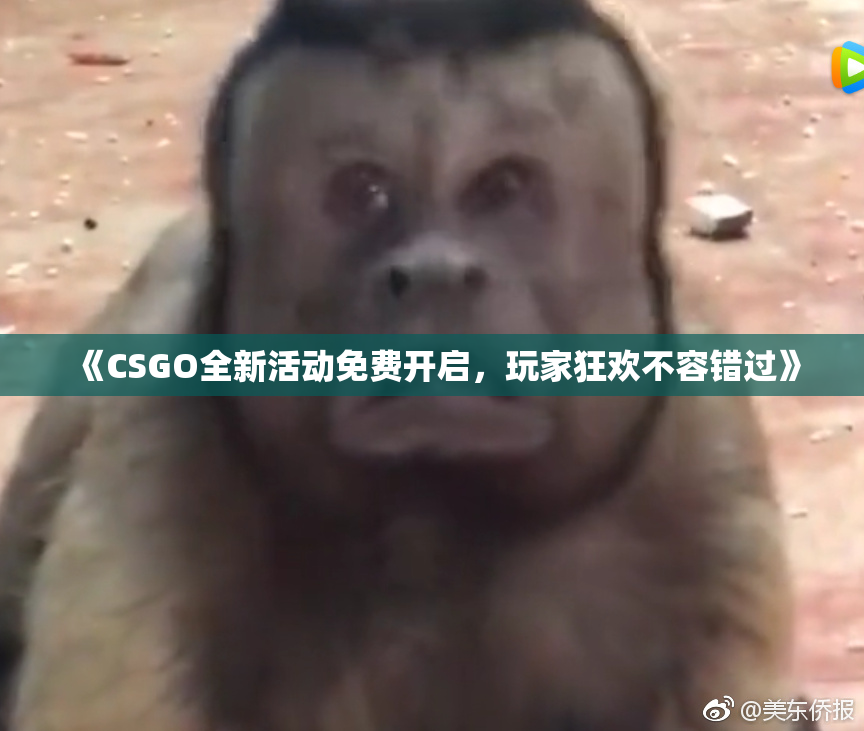 《CSGO全新活动免费开启，玩家狂欢不容错过》
