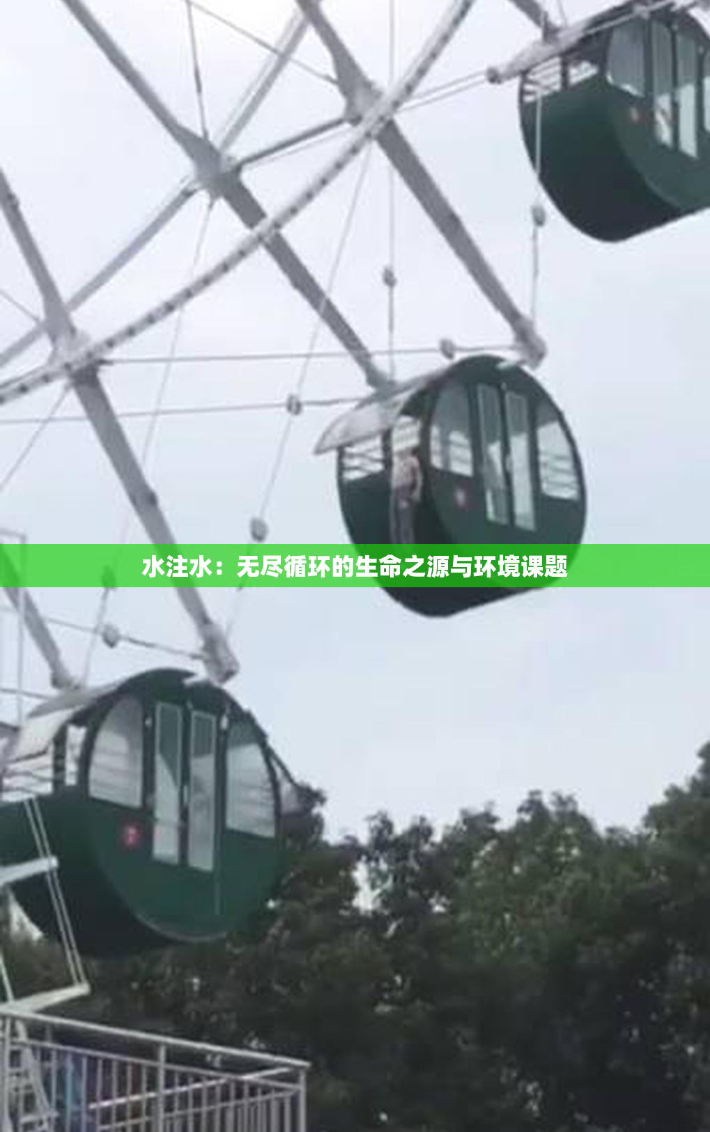 水注水：无尽循环的生命之源与环境课题