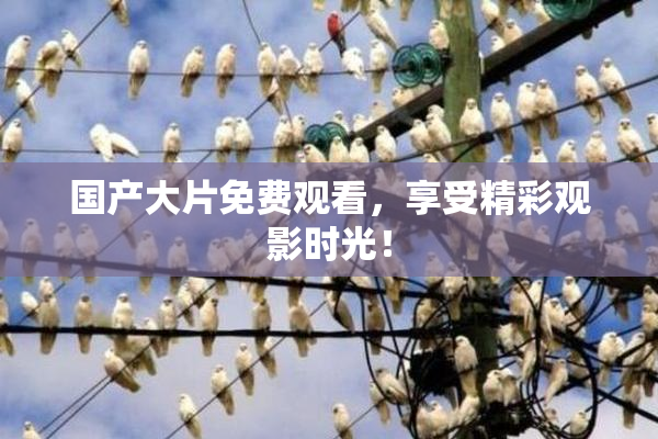 国产大片免费观看，享受精彩观影时光！