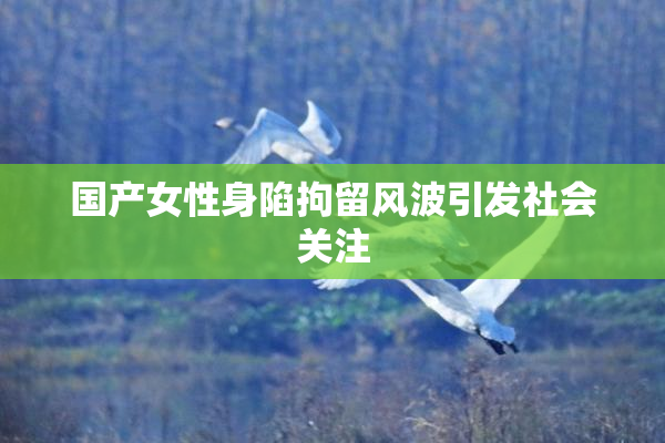 国产女性身陷拘留风波引发社会关注