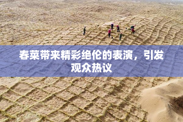 春菜带来精彩绝伦的表演，引发观众热议