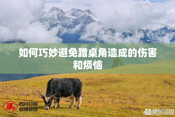如何巧妙避免蹭桌角造成的伤害和烦恼