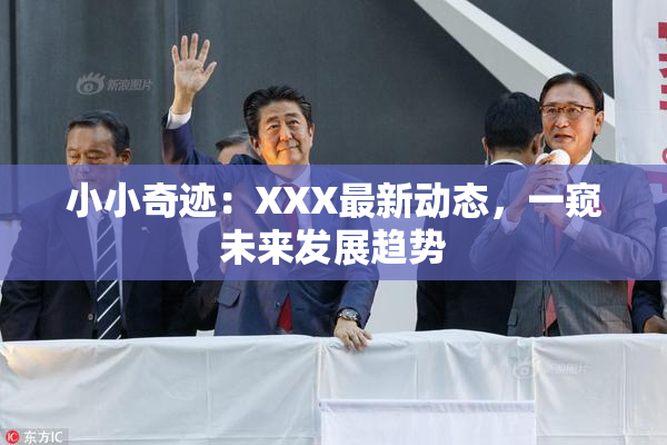 小小奇迹：XXX最新动态，一窥未来发展趋势