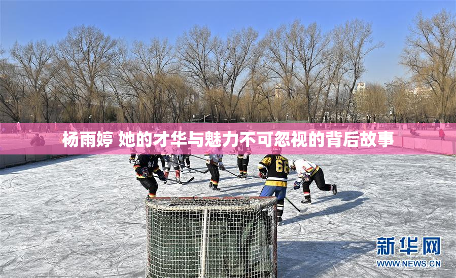 杨雨婷 她的才华与魅力不可忽视的背后故事