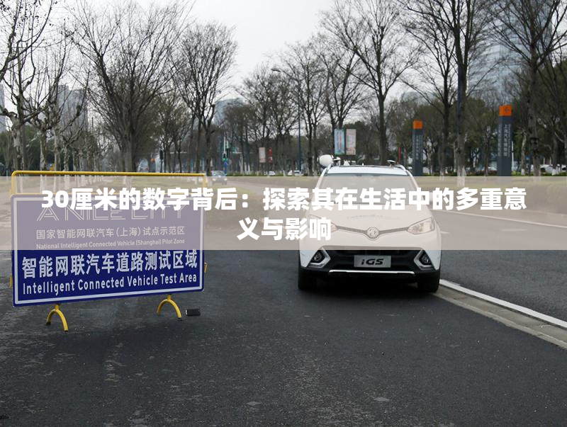 30厘米的数字背后：探索其在生活中的多重意义与影响