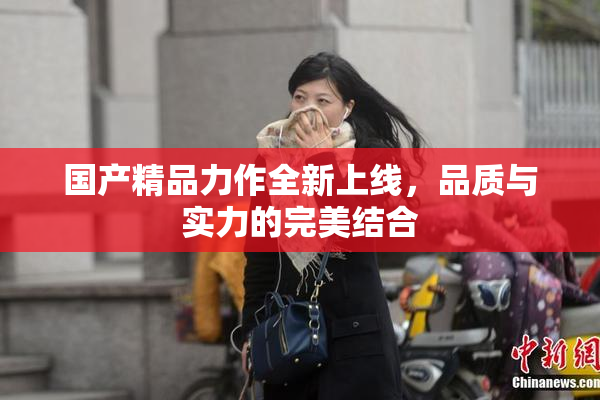 国产精品力作全新上线，品质与实力的完美结合