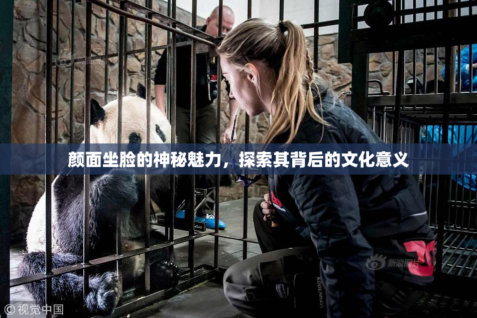 颜面坐脸的神秘魅力，探索其背后的文化意义