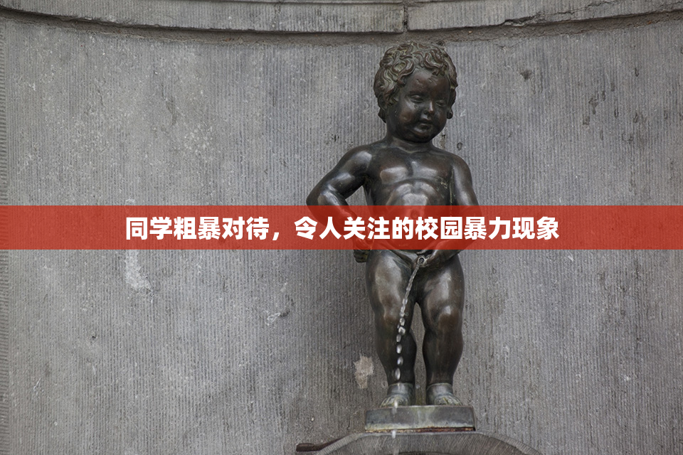 同学粗暴对待，令人关注的校园暴力现象