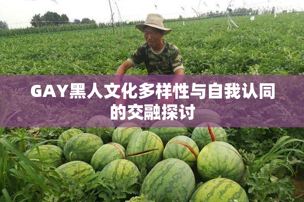 GAY黑人文化多样性与自我认同的交融探讨