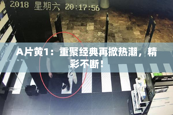 A片黄1：重聚经典再掀热潮，精彩不断！
