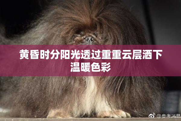 黄昏时分阳光透过重重云层洒下温暖色彩