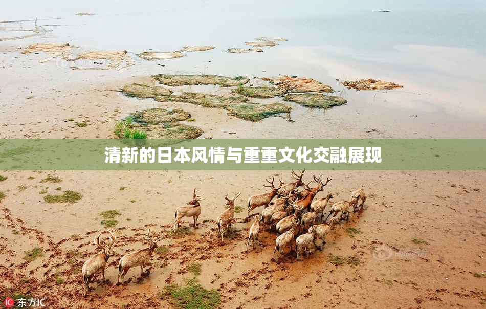 清新的日本风情与重重文化交融展现