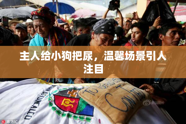 主人给小狗把尿，温馨场景引人注目