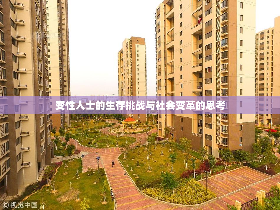 变性人士的生存挑战与社会变革的思考