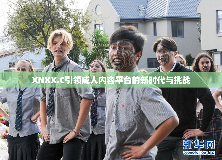 XNXX.C引领成人内容平台的新时代与挑战