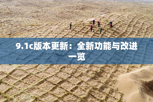 9.1c版本更新：全新功能与改进一览