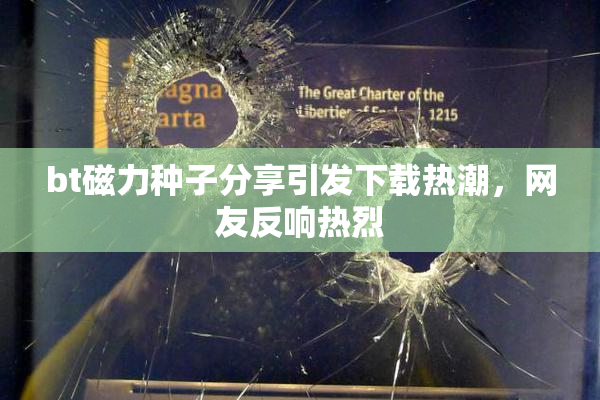 bt磁力种子分享引发下载热潮，网友反响热烈