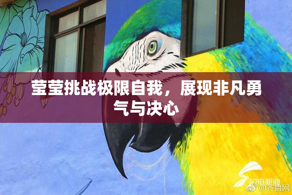 莹莹挑战极限自我，展现非凡勇气与决心