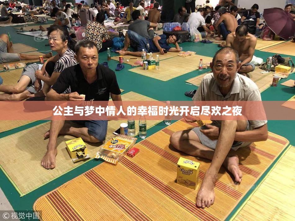 公主与梦中情人的幸福时光开启尽欢之夜
