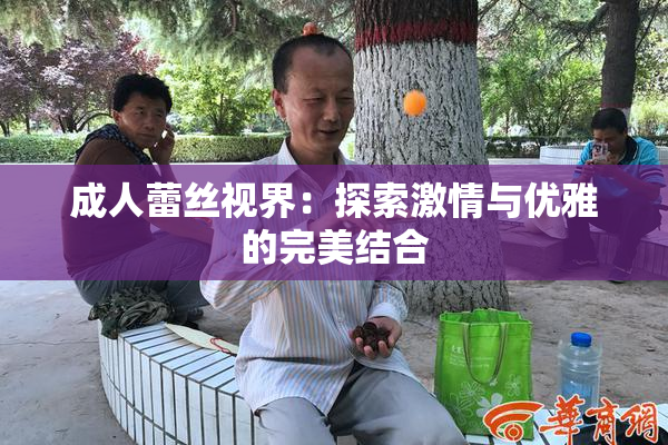 成人蕾丝视界：探索激情与优雅的完美结合