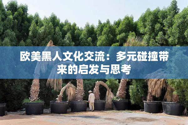 欧美黑人文化交流：多元碰撞带来的启发与思考