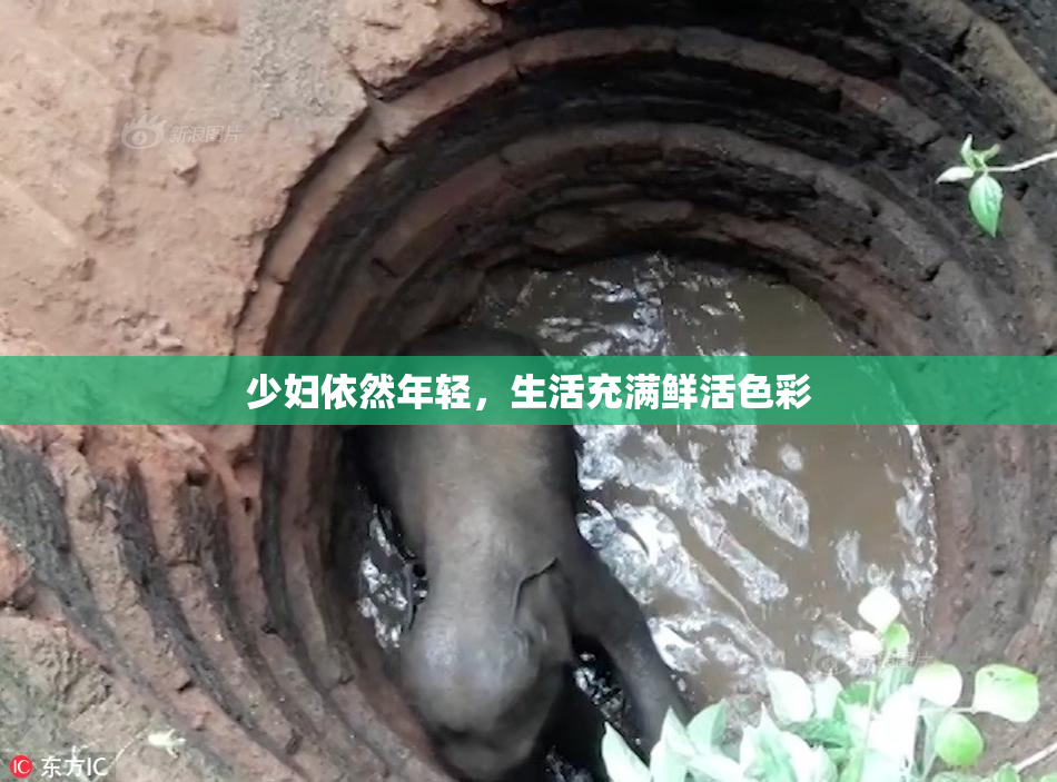 少妇依然年轻，生活充满鲜活色彩