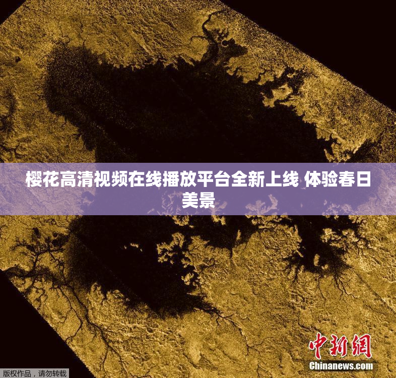 樱花高清视频在线播放平台全新上线 体验春日美景