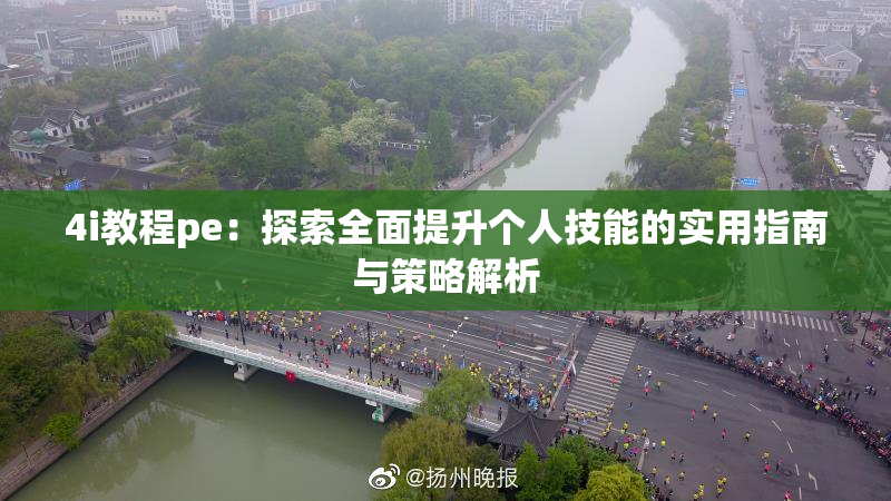 4i教程pe：探索全面提升个人技能的实用指南与策略解析