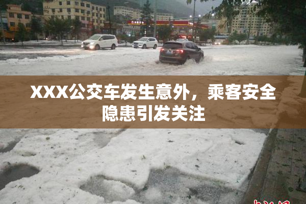 XXX公交车发生意外，乘客安全隐患引发关注