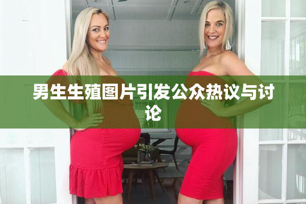 男生生殖图片引发公众热议与讨论