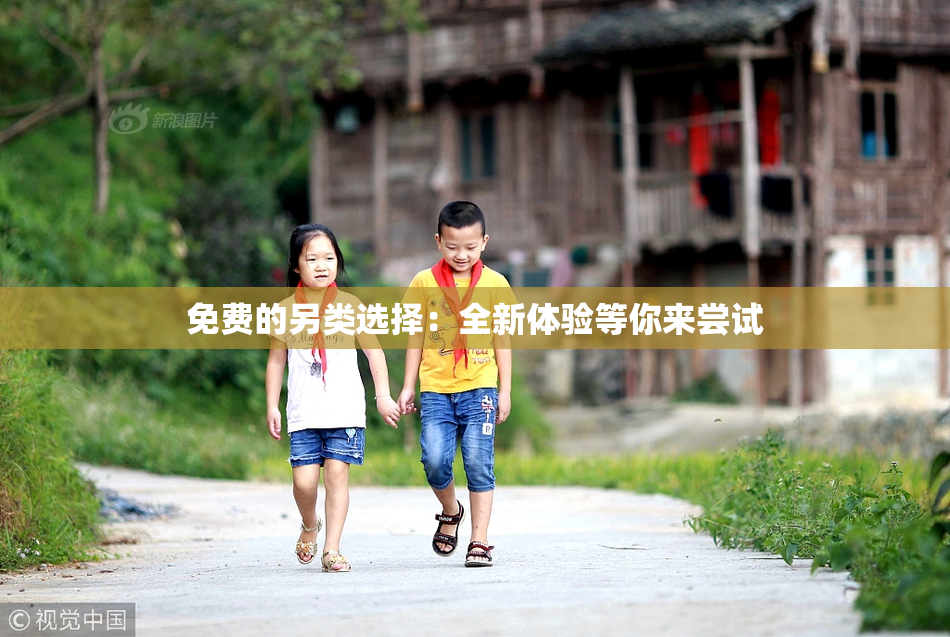 免费的另类选择：全新体验等你来尝试