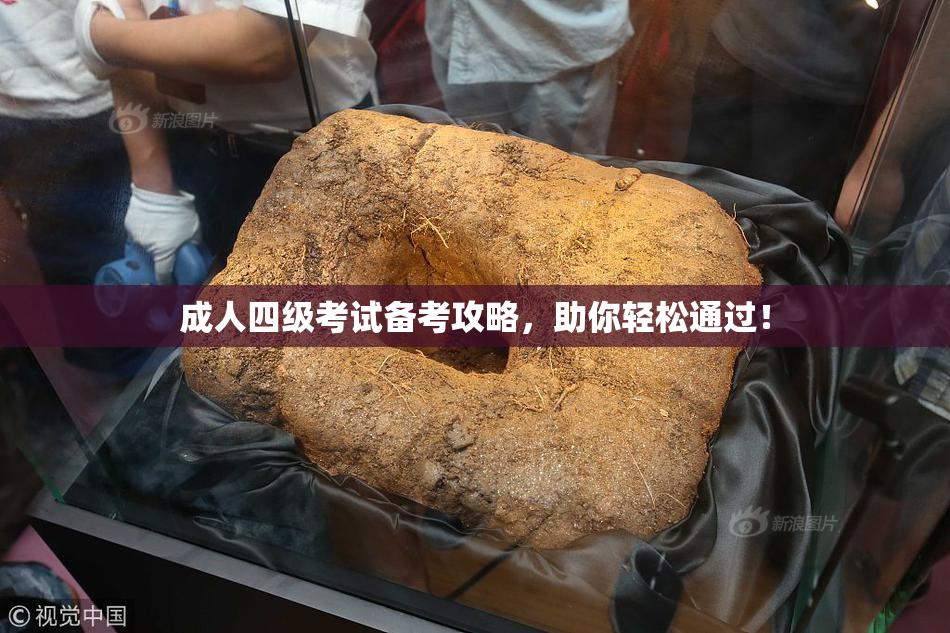 成人四级考试备考攻略，助你轻松通过！