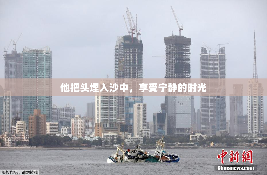 他把头埋入沙中，享受宁静的时光