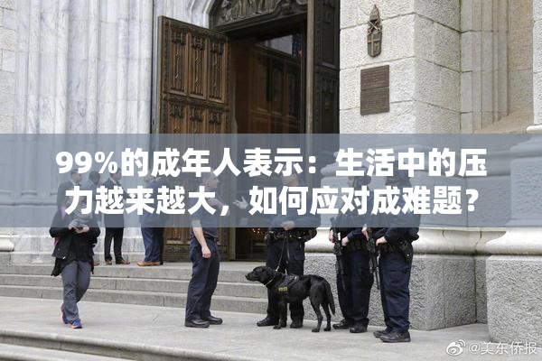 99%的成年人表示：生活中的压力越来越大，如何应对成难题？