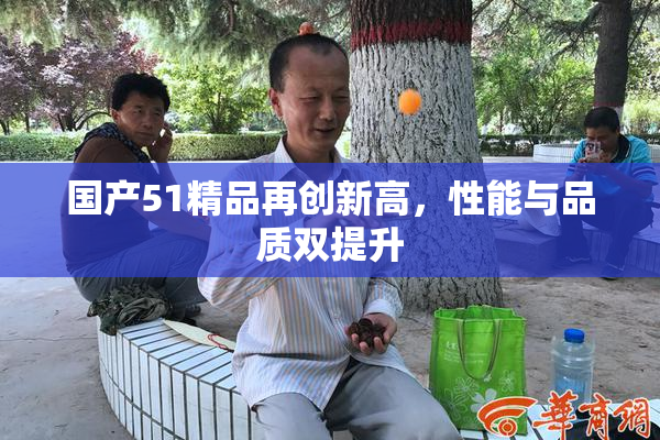 国产51精品再创新高，性能与品质双提升