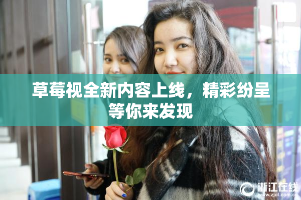 草莓视全新内容上线，精彩纷呈等你来发现
