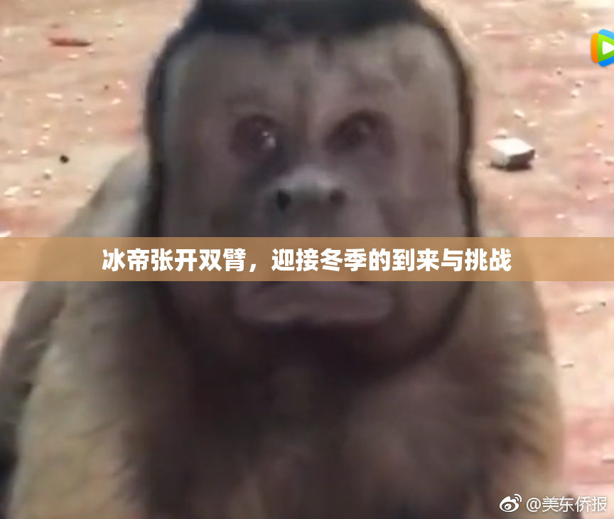 冰帝张开双臂，迎接冬季的到来与挑战