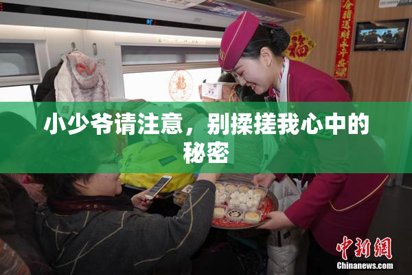 小少爷请注意，别揉搓我心中的秘密