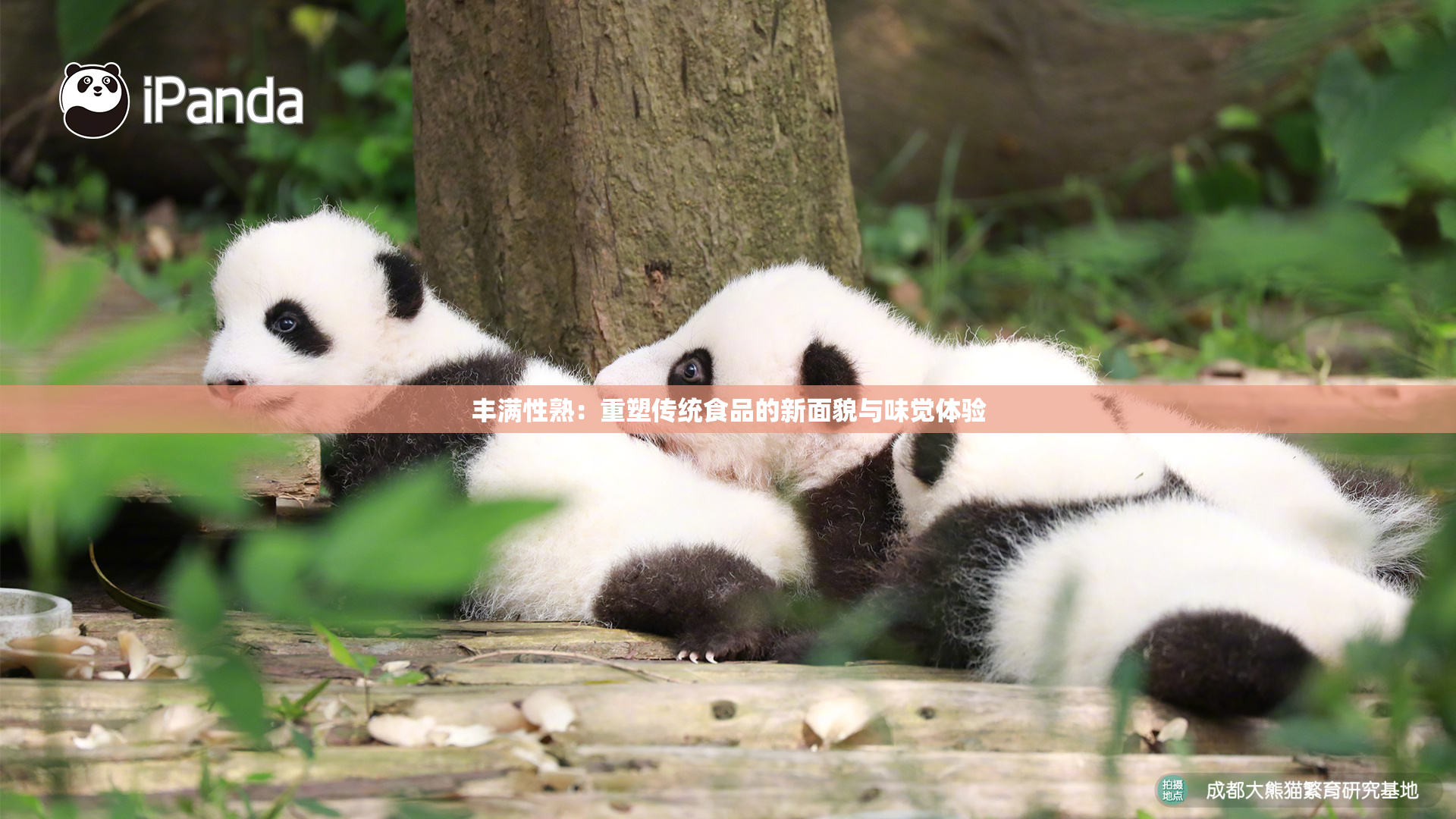 丰满性熟：重塑传统食品的新面貌与味觉体验