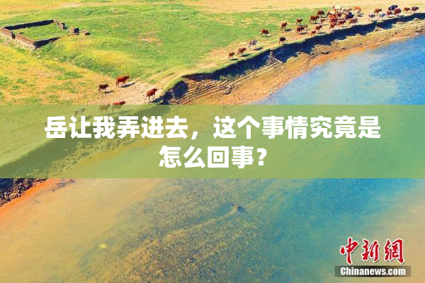 岳让我弄进去，这个事情究竟是怎么回事？