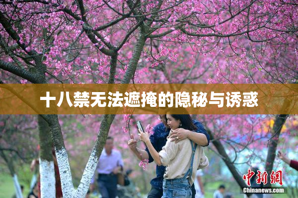 十八禁无法遮掩的隐秘与诱惑