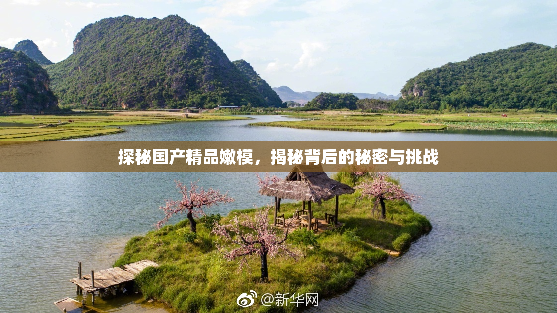 探秘国产精品嫩模，揭秘背后的秘密与挑战