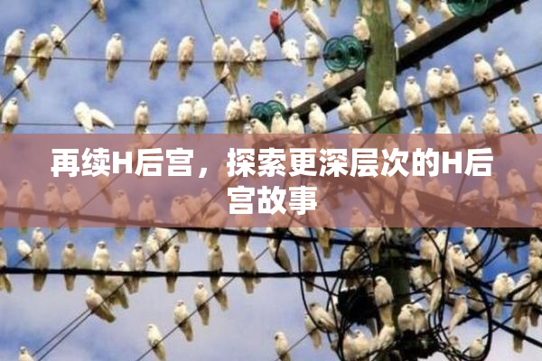 再续H后宫，探索更深层次的H后宫故事