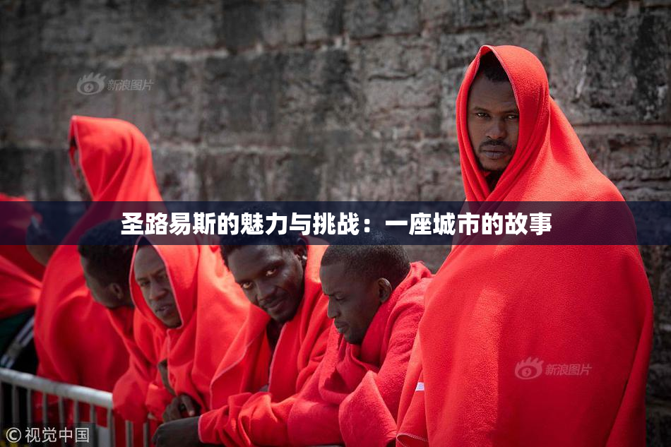 圣路易斯的魅力与挑战：一座城市的故事
