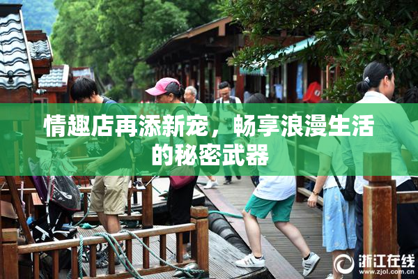 情趣店再添新宠，畅享浪漫生活的秘密武器
