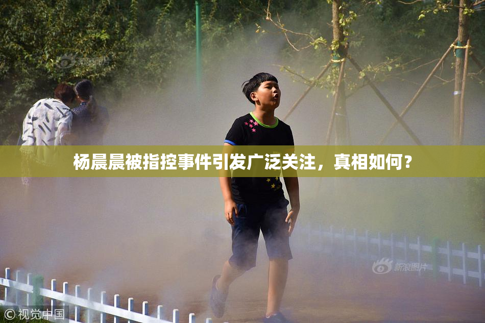杨晨晨被指控事件引发广泛关注，真相如何？
