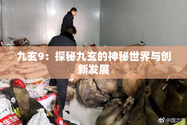 九玄9：探秘九玄的神秘世界与创新发展