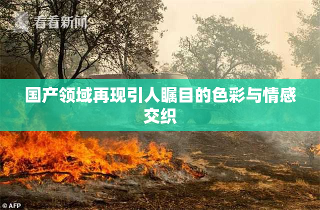 国产领域再现引人瞩目的色彩与情感交织