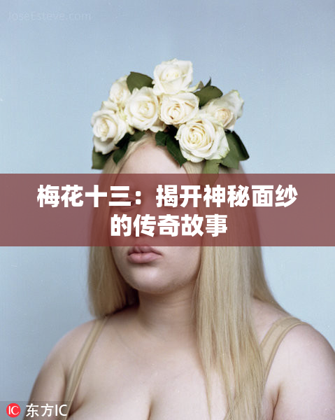 梅花十三：揭开神秘面纱的传奇故事
