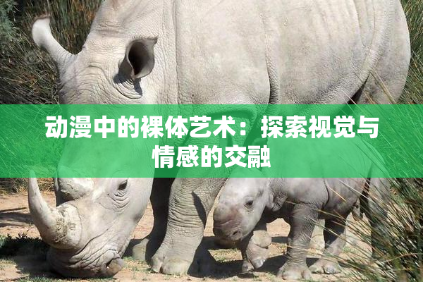 动漫中的裸体艺术：探索视觉与情感的交融